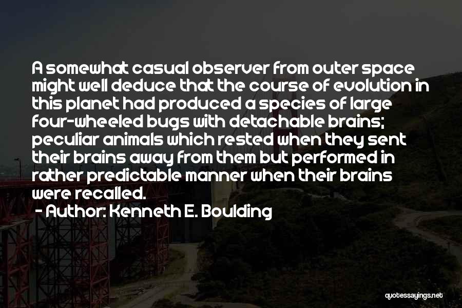 Bugs Quotes By Kenneth E. Boulding