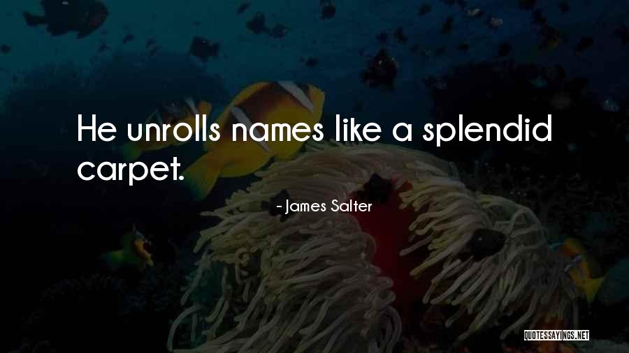 Buhrman Design Quotes By James Salter Buhrman Design Quotes By James Salter