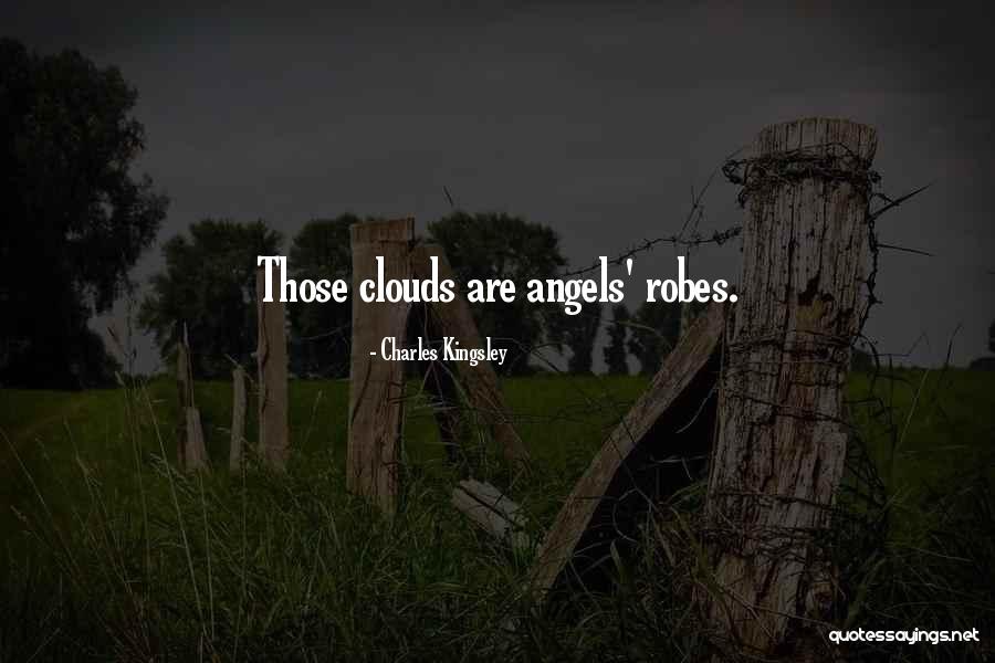 Buhrmann And Partners Quotes By Charles Kingsley Buhrmann And Partners Quotes By Charles Kingsley
