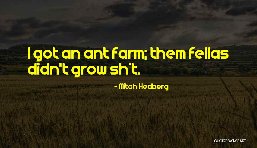 Buice Turkey Quotes By Mitch Hedberg Buice Turkey Quotes By Mitch Hedberg