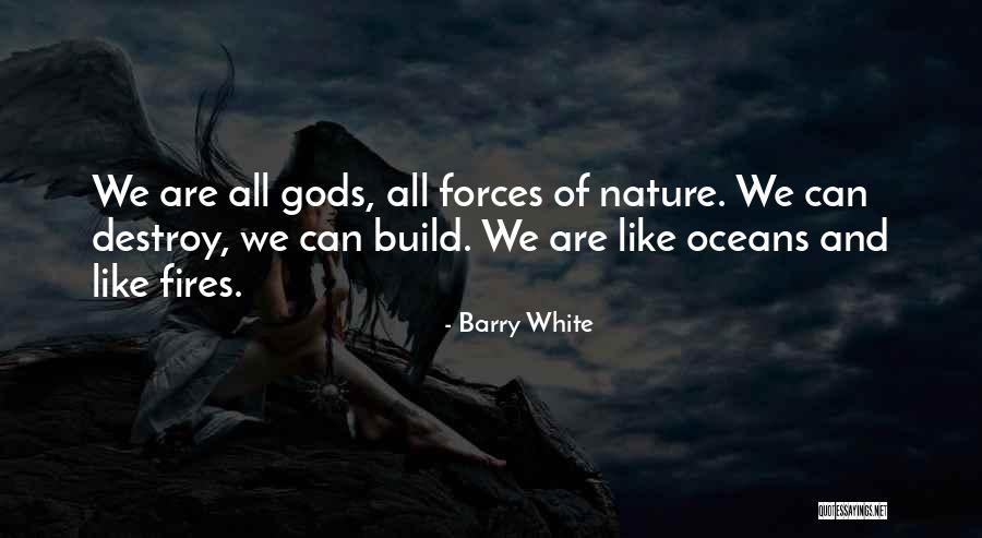 Build And Destroy Quotes By Barry White