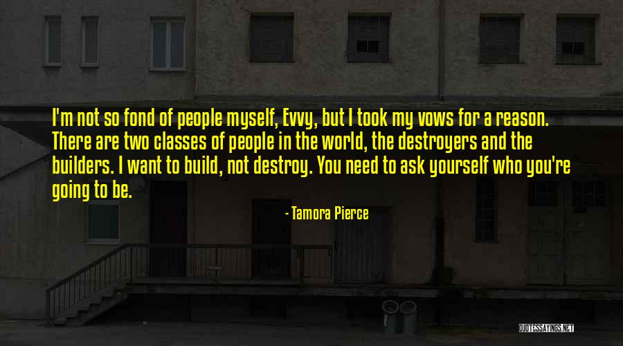 Build And Destroy Quotes By Tamora Pierce