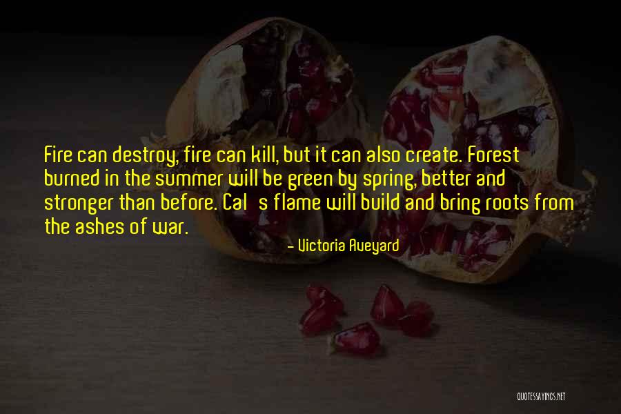 Build And Destroy Quotes By Victoria Aveyard Build And Destroy Quotes By Victoria Aveyard