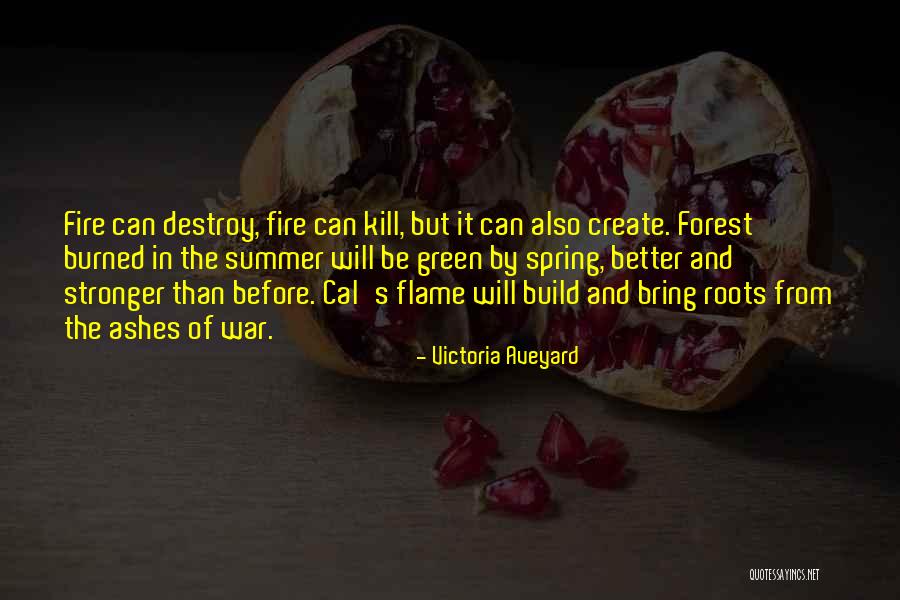 Build And Destroy Quotes By Victoria Aveyard