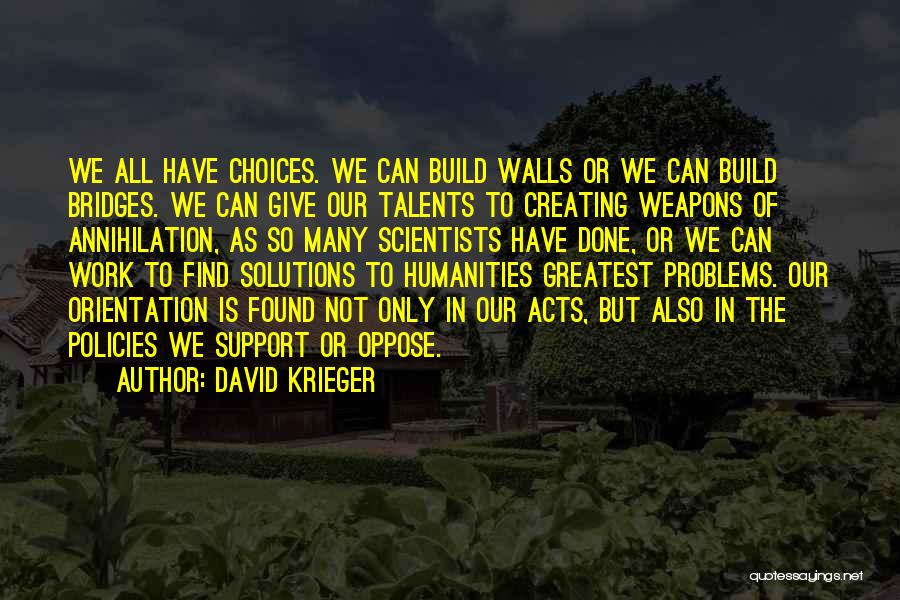 Build Bridges Not Walls Quotes By David Krieger