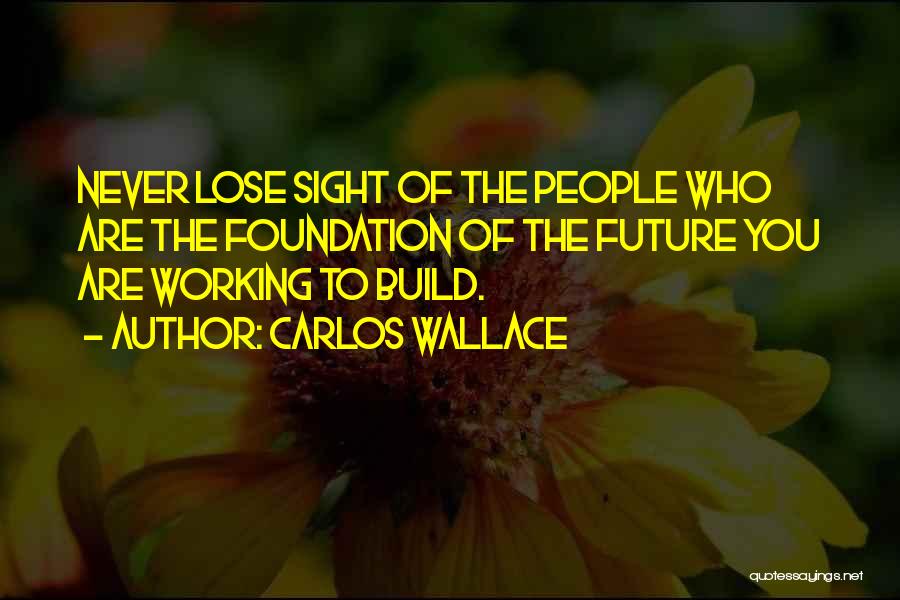 Build Relationships Quotes By Carlos Wallace