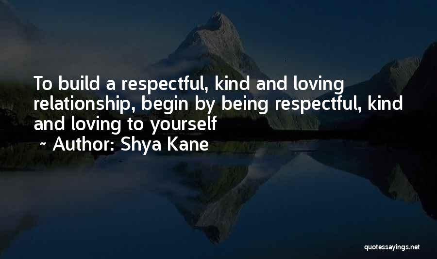 Build Relationships Quotes By Shya Kane