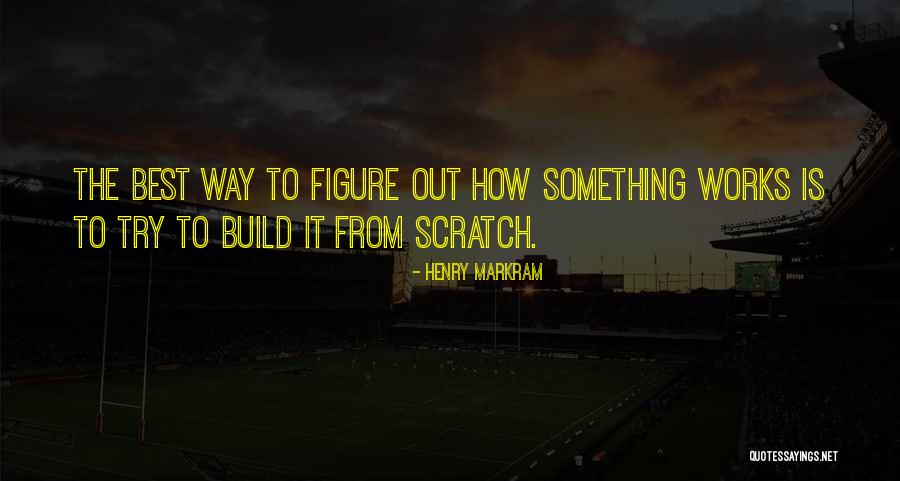 Build Something From Scratch Quotes By Henry Markram