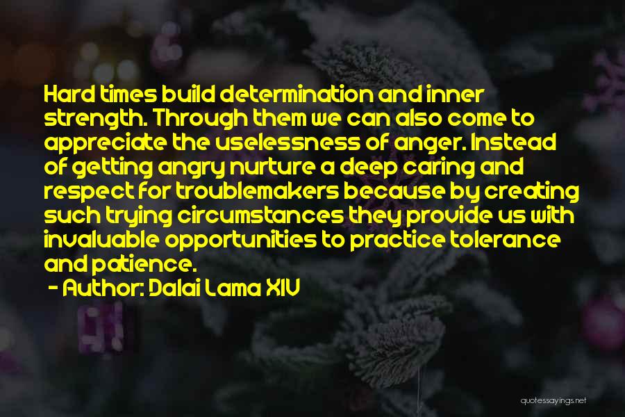 Build Strength Quotes By Dalai Lama XIV