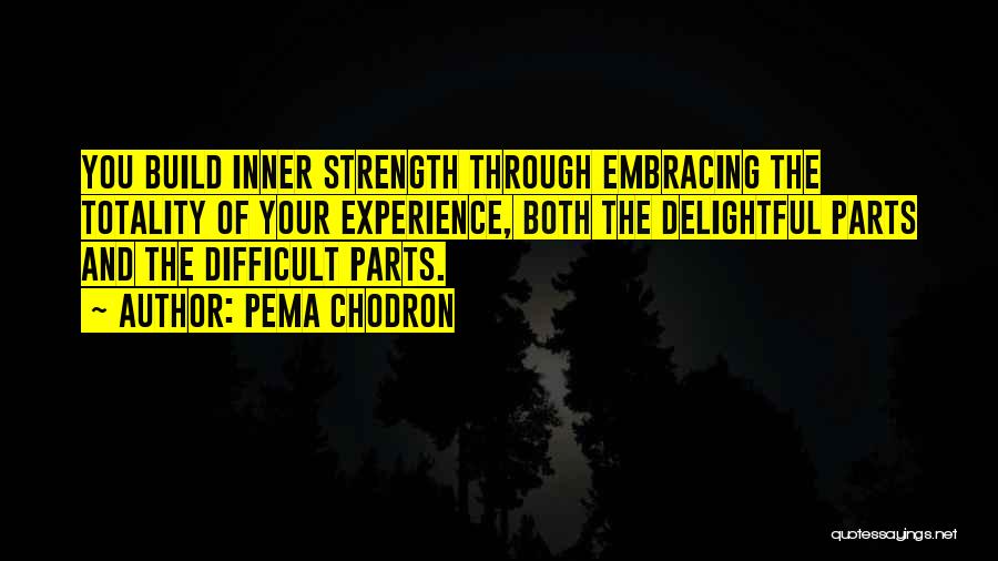 Build Strength Quotes By Pema Chodron