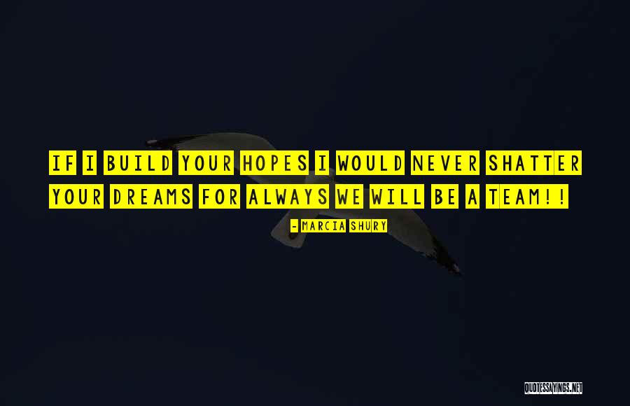 Build Team Quotes By Marcia Shury Build Team Quotes By Marcia Shury