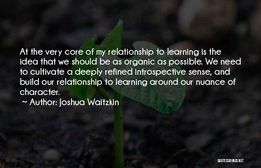 Build Up Relationship Quotes By Joshua Waitzkin