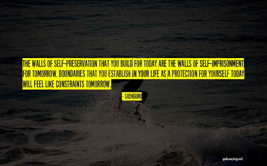 Build Walls Quotes By Sadhguru Build Walls Quotes By Sadhguru