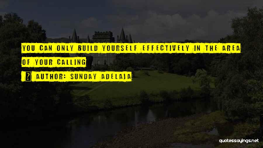 Build Your Destiny Quotes By Sunday Adelaja