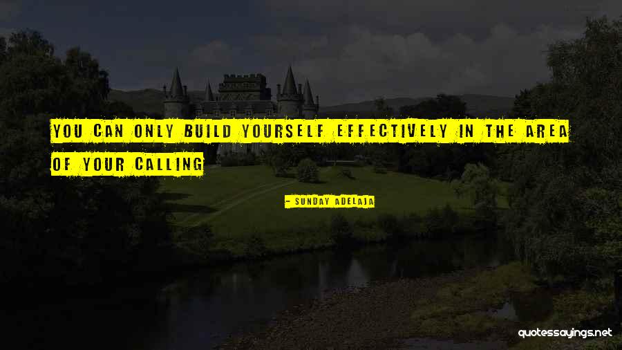 Build Your Destiny Quotes By Sunday Adelaja