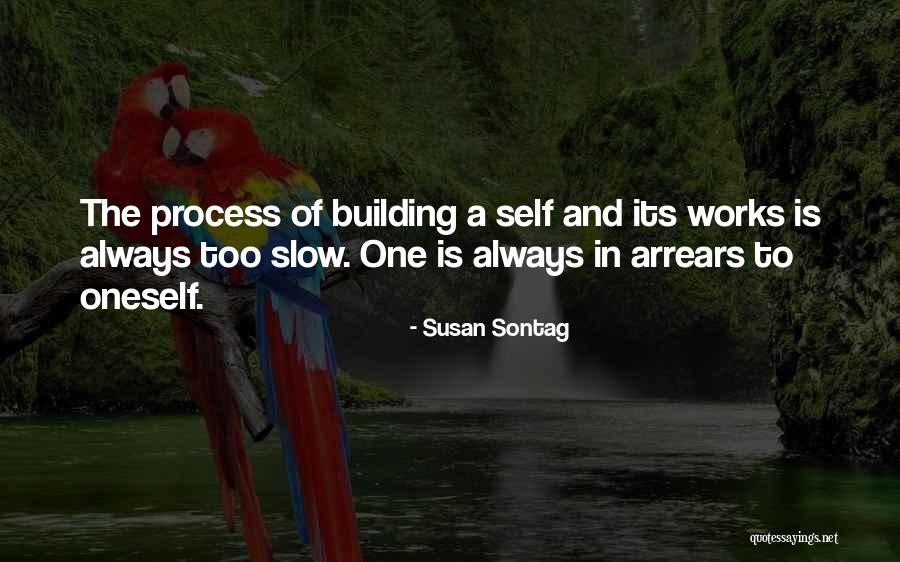 Building A Building Quotes By Susan Sontag Building A Building Quotes By Susan Sontag