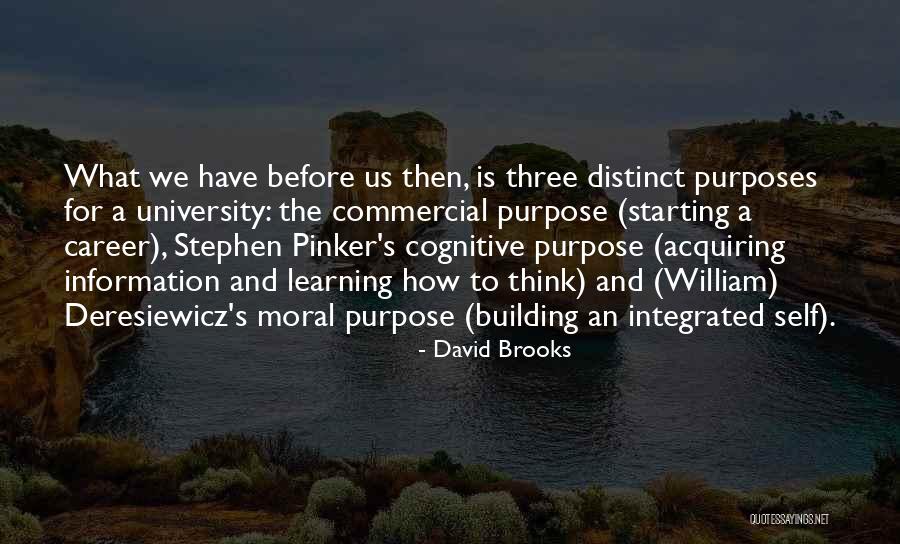 Building A Career Quotes By David Brooks Building A Career Quotes By David Brooks