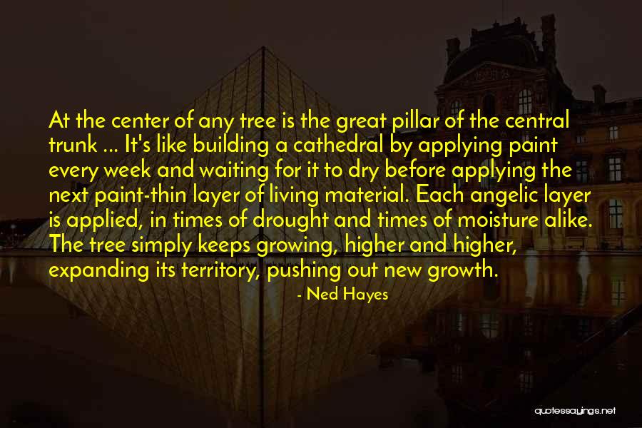 Building A Cathedral Quotes By Ned Hayes