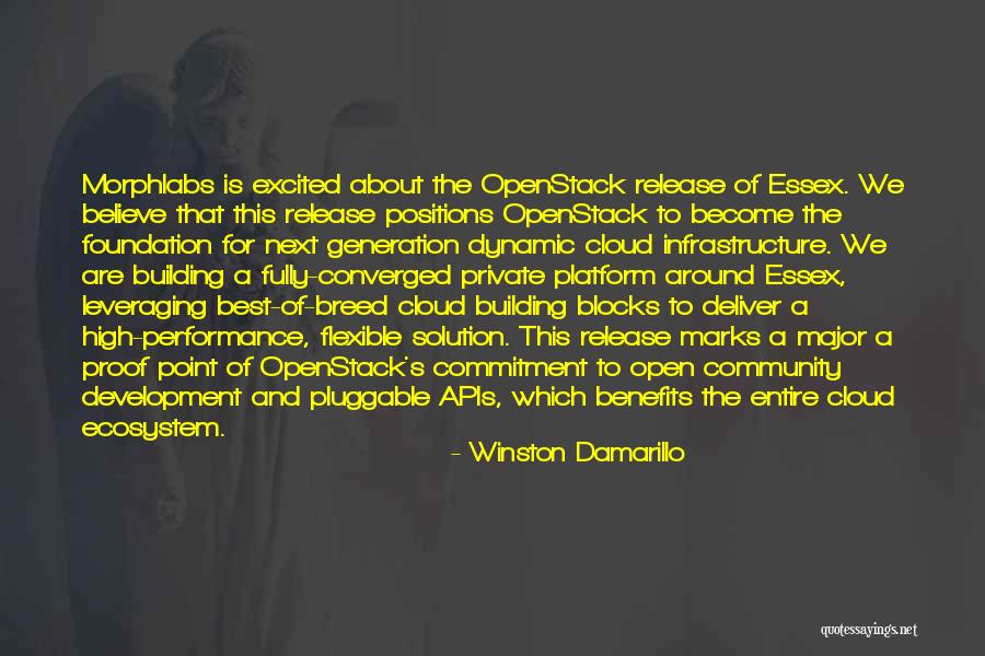 Building A Foundation Quotes By Winston Damarillo Building A Foundation Quotes By Winston Damarillo