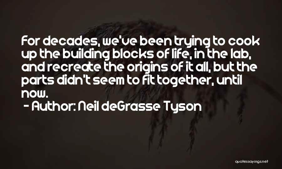 Building A Life Together Quotes By Neil DeGrasse Tyson