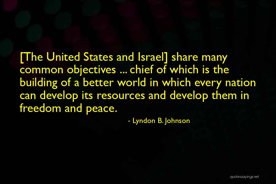 Building A Nation Quotes By Lyndon B. Johnson