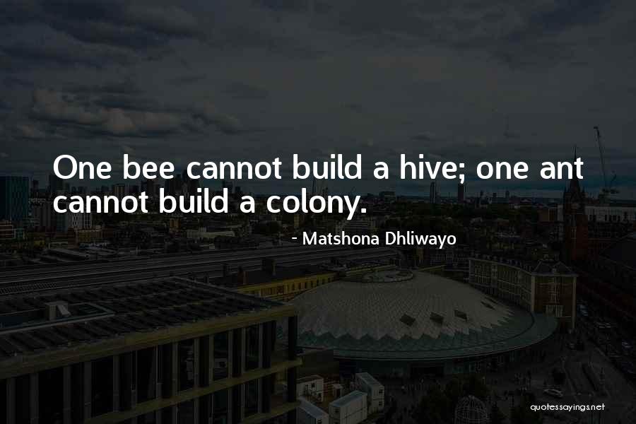 Building A Nation Quotes By Matshona Dhliwayo