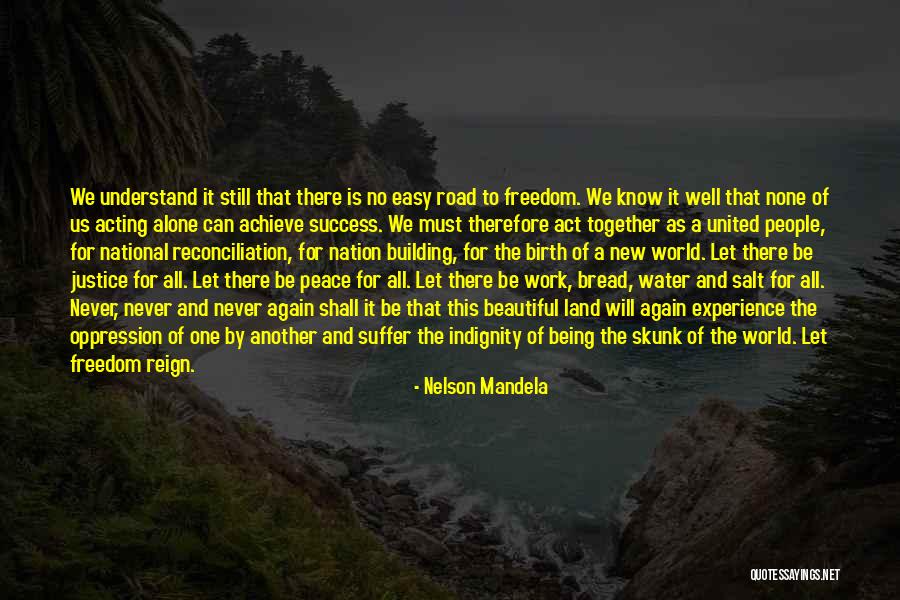 Building A Nation Quotes By Nelson Mandela