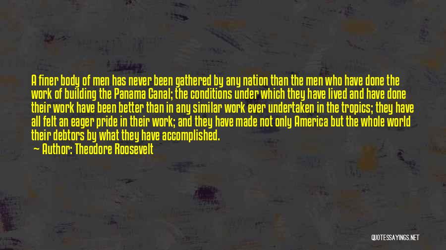 Building A Nation Quotes By Theodore Roosevelt