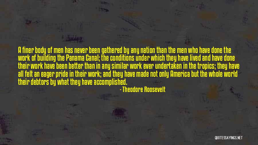 Building A Nation Quotes By Theodore Roosevelt