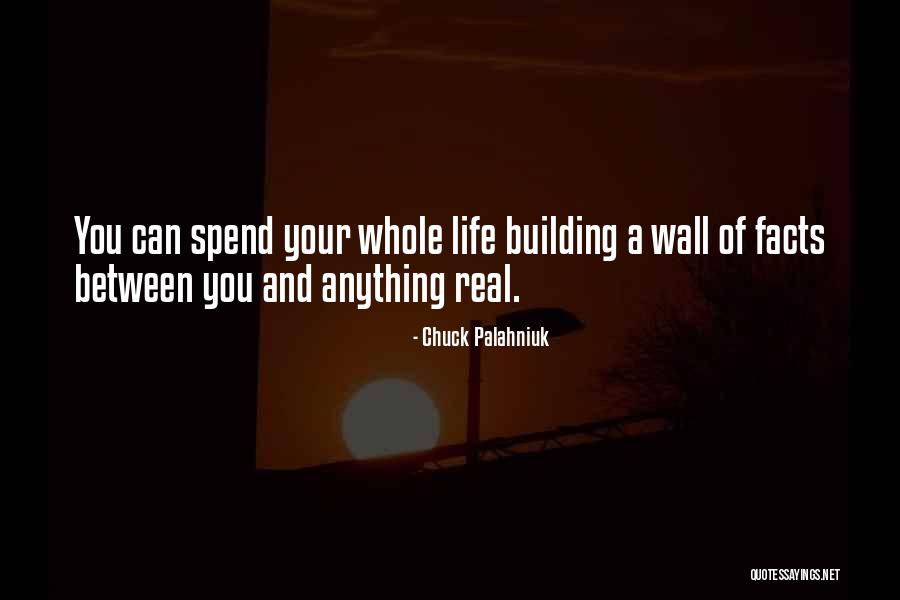 Building A Wall Quotes By Chuck Palahniuk