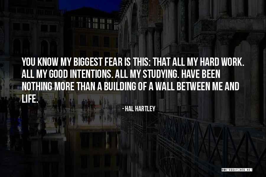 Building A Wall Quotes By Hal Hartley