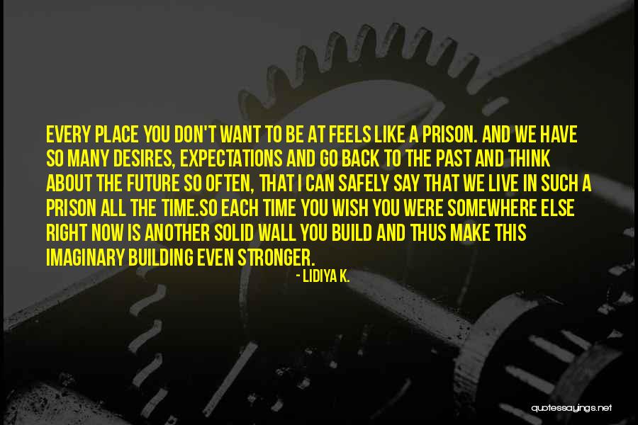 Building A Wall Quotes By Lidiya K.