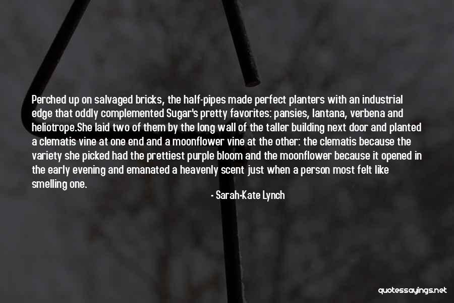 Building A Wall Quotes By Sarah-Kate Lynch Building A Wall Quotes By Sarah-Kate Lynch