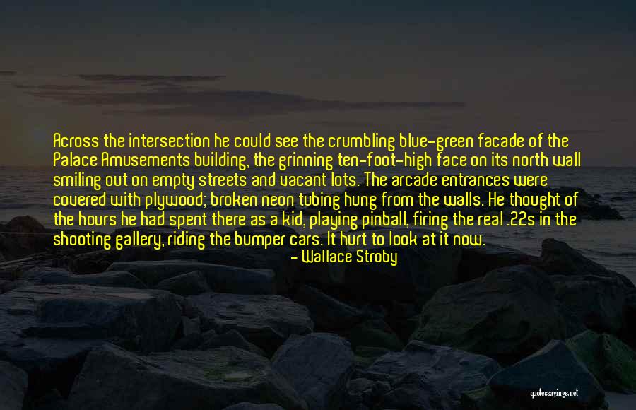 Building A Wall Quotes By Wallace Stroby