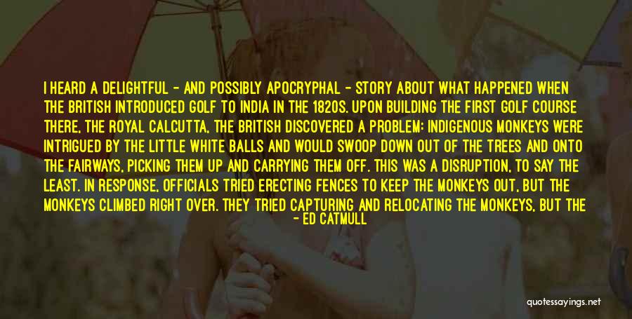 Building Back Up Quotes By Ed Catmull Building Back Up Quotes By Ed Catmull