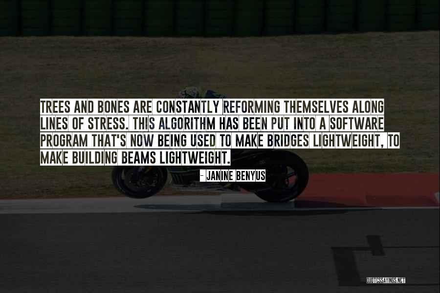 Building Bridges Quotes By Janine Benyus Building Bridges Quotes By Janine Benyus