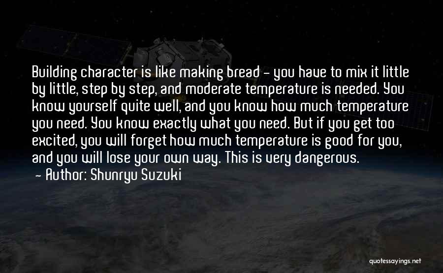 Building Character Quotes By Shunryu Suzuki