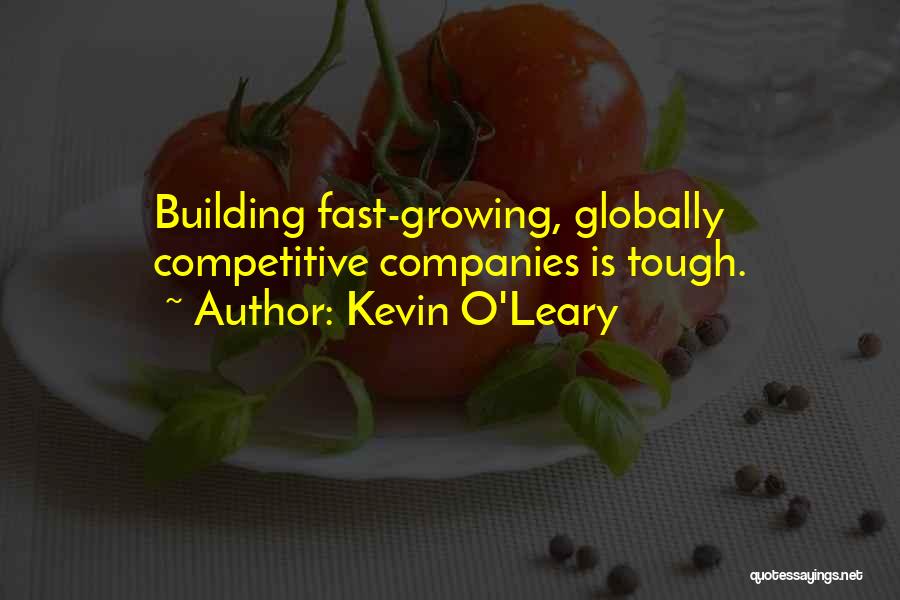 Building Companies Quotes By Kevin O'Leary