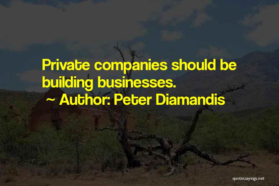 Building Companies Quotes By Peter Diamandis