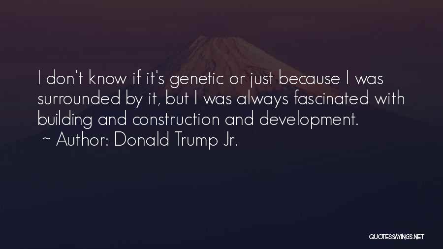 Building Construction Quotes By Donald Trump Jr.