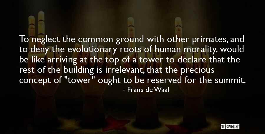 Building From The Ground Up Quotes By Frans De Waal