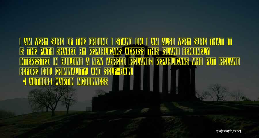 Building From The Ground Up Quotes By Martin McGuinness