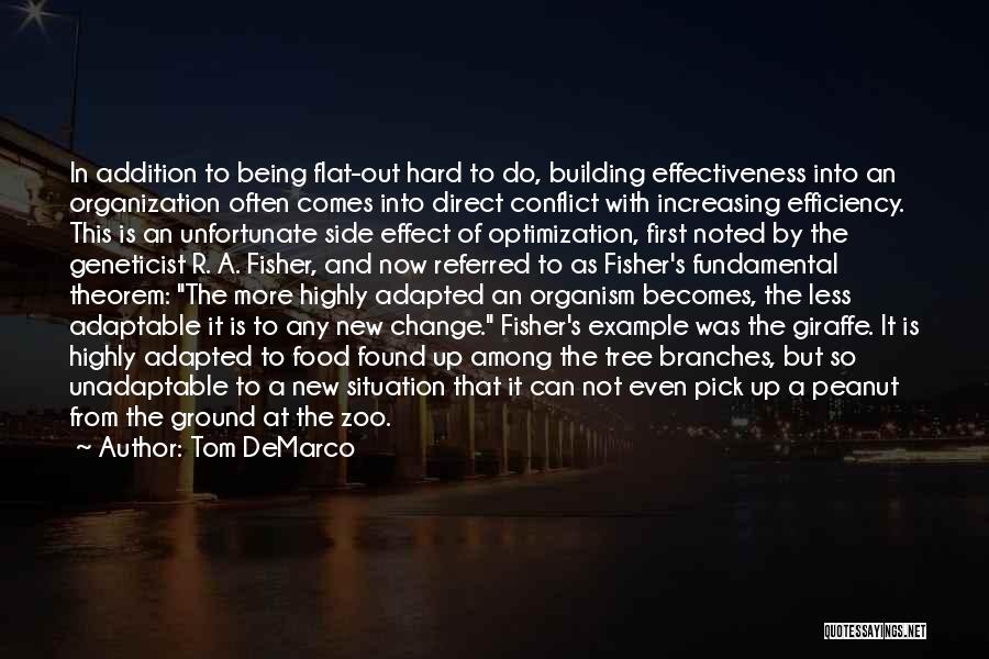 Building From The Ground Up Quotes By Tom DeMarco
