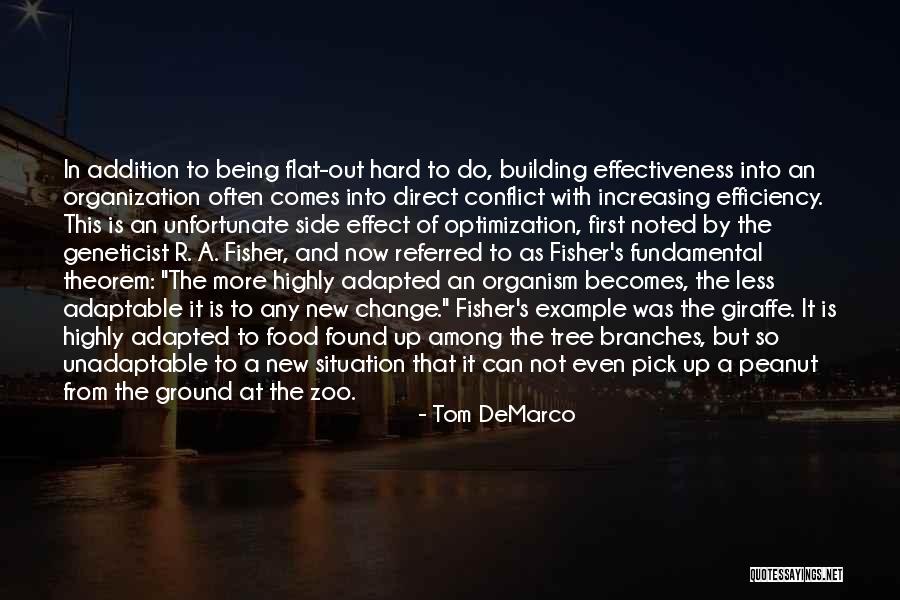 Building From The Ground Up Quotes By Tom DeMarco