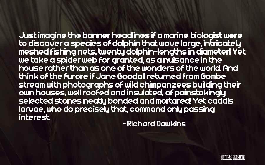 Building Houses Quotes By Richard Dawkins Building Houses Quotes By Richard Dawkins