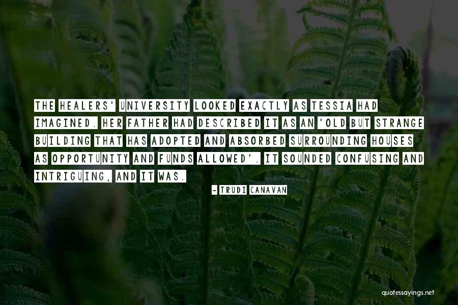 Building Houses Quotes By Trudi Canavan Building Houses Quotes By Trudi Canavan