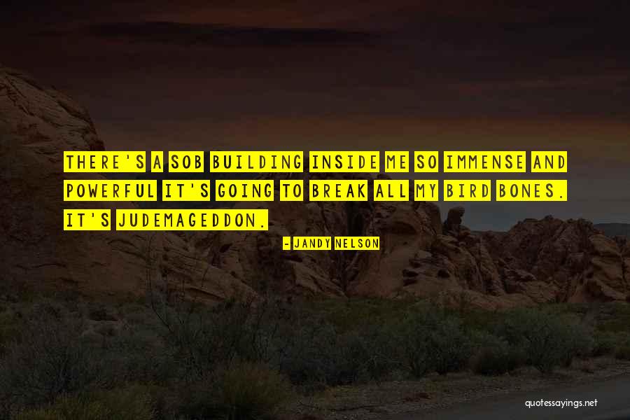 Building It Up To Break Quotes By Jandy Nelson Building It Up To Break Quotes By Jandy Nelson