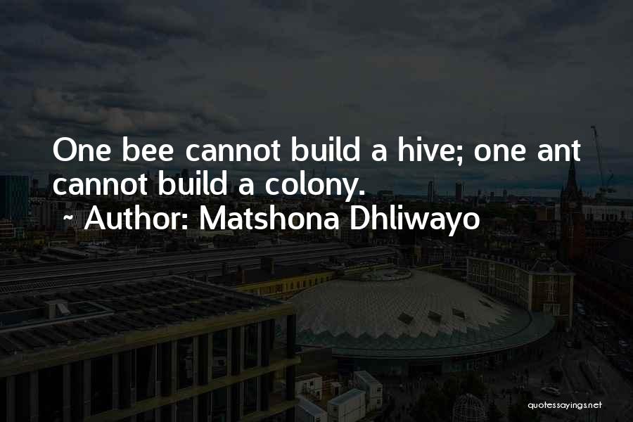 Building My Empire Quotes By Matshona Dhliwayo