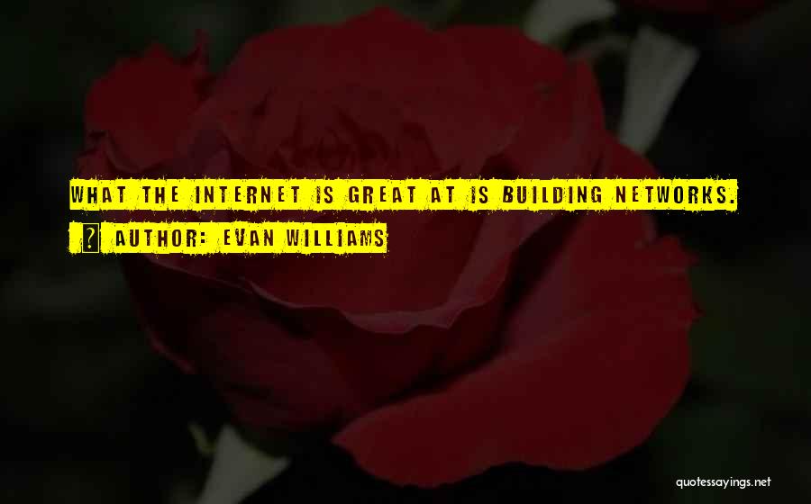 Building Networks Quotes By Evan Williams