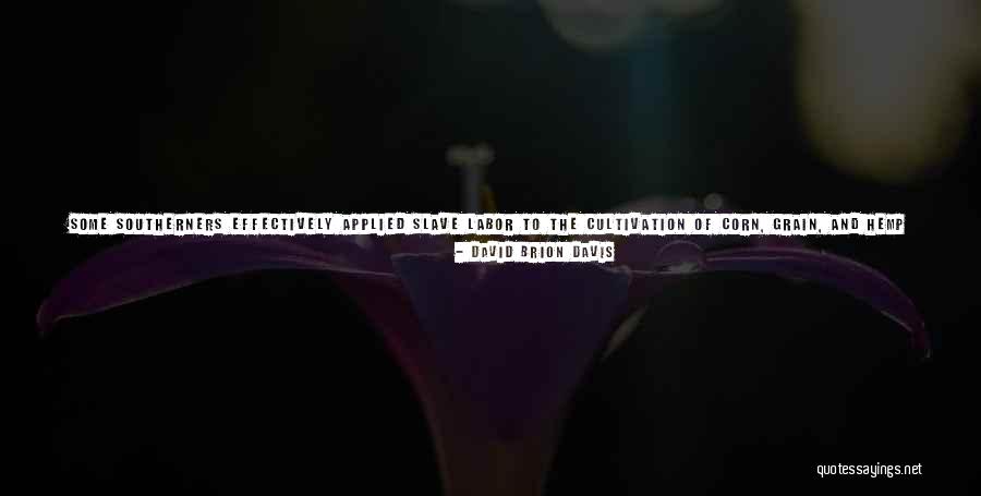 Building On Success Quotes By David Brion Davis Building On Success Quotes By David Brion Davis